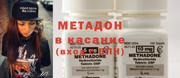 шишки Приозерск