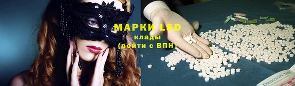 шишки Приозерск
