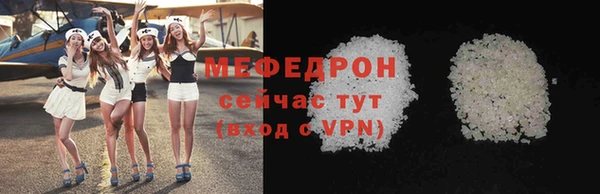 гидра Ельня