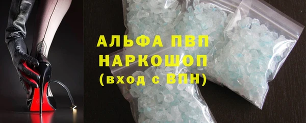 гидра Ельня