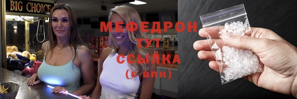 гидра Ельня