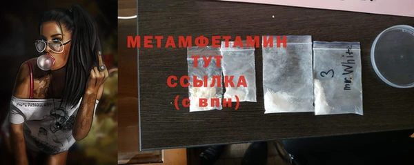 гидра Ельня