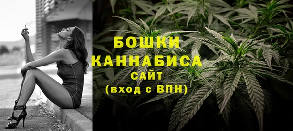 шишки Приозерск