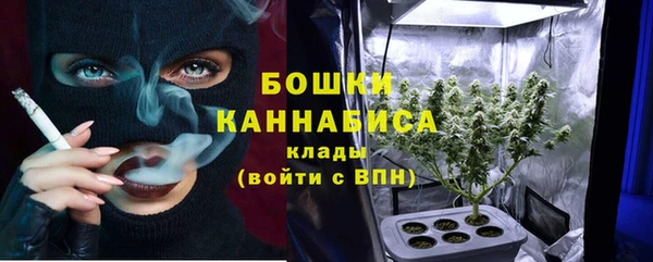 шишки Приозерск