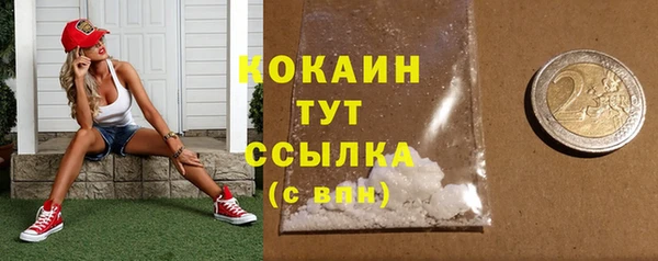 шишки Приозерск